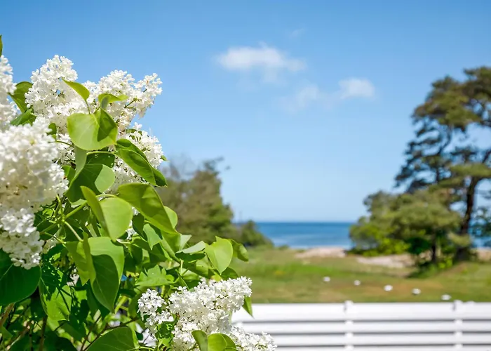 Lovely In With Wifi Apartment