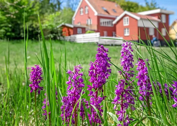 Lovely In With Wifi Apartment Gudhjem